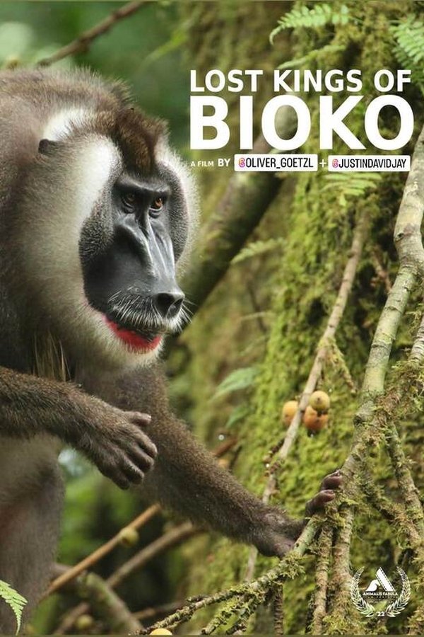 Lost Kings Of Bioko