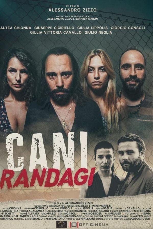 Cani Randagi