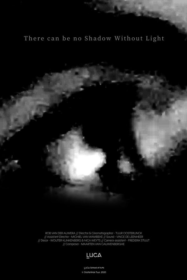 There Can Be No Shadow Without Light