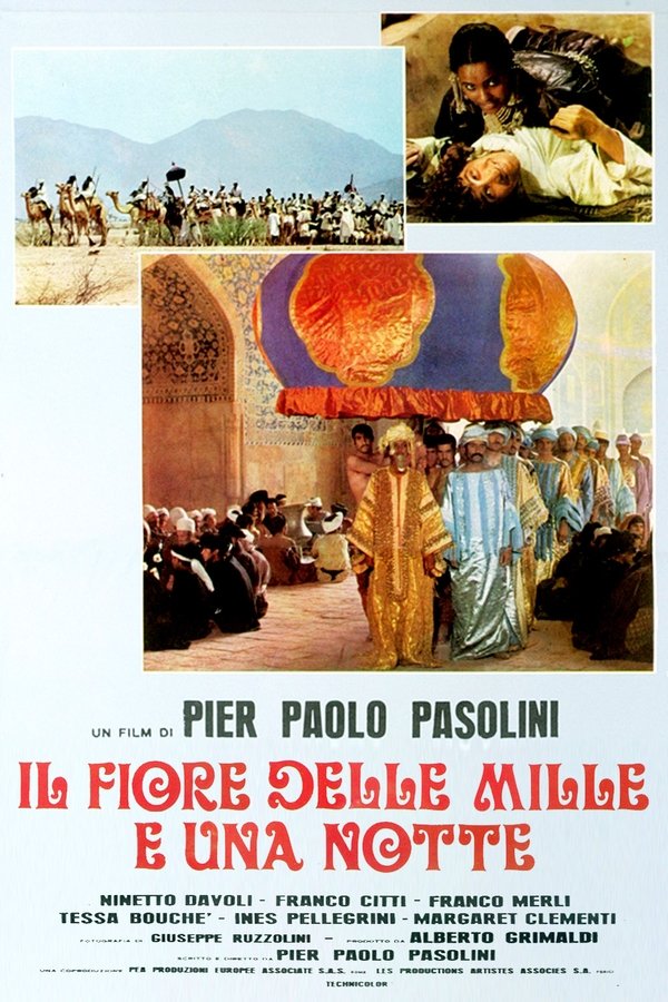 Il Fiore Delle Mille E Una Notte