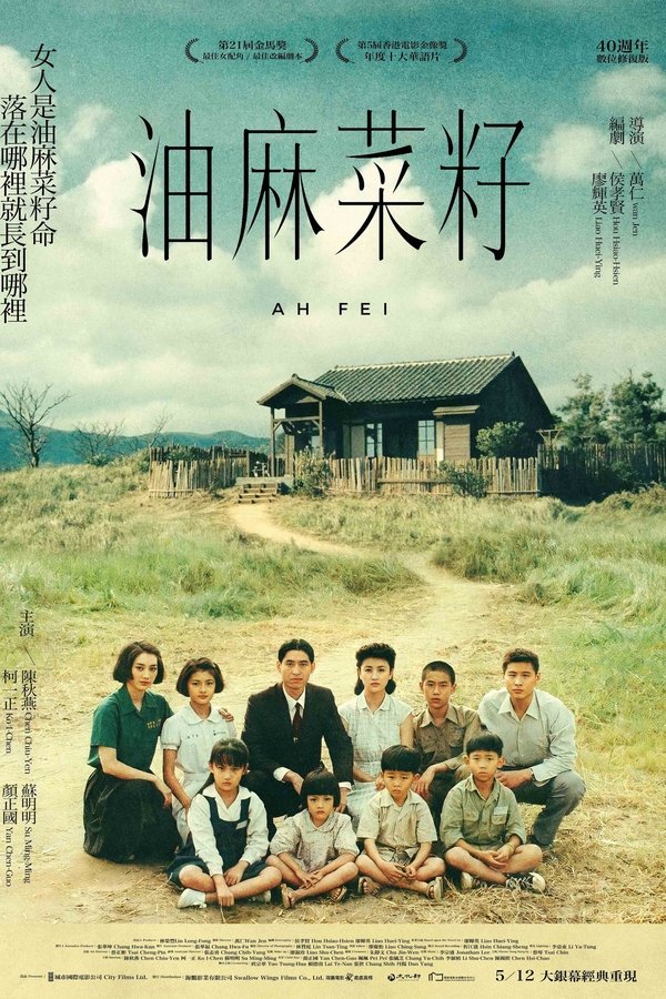 油麻菜籽