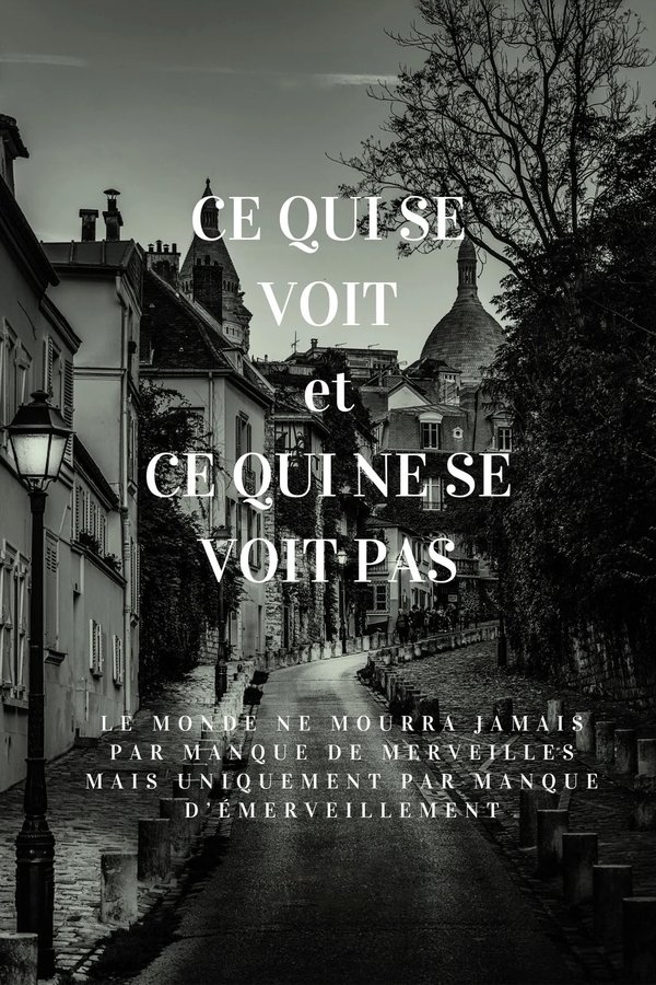 Ce Qui Se Voit Et Ce Qui Ne Se Voit Pas