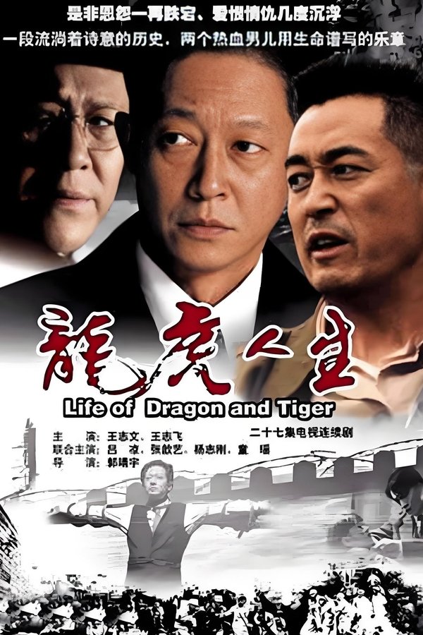 龙虎人生