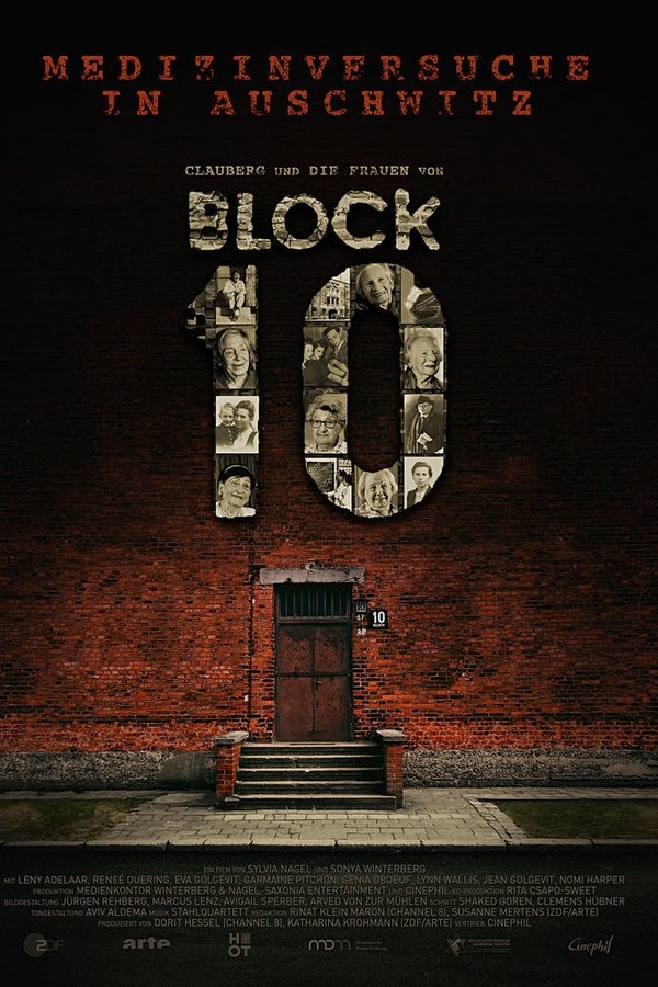 Medizinversuche In Auschwitz - Clauberg Und Die Frauen Von Block 10