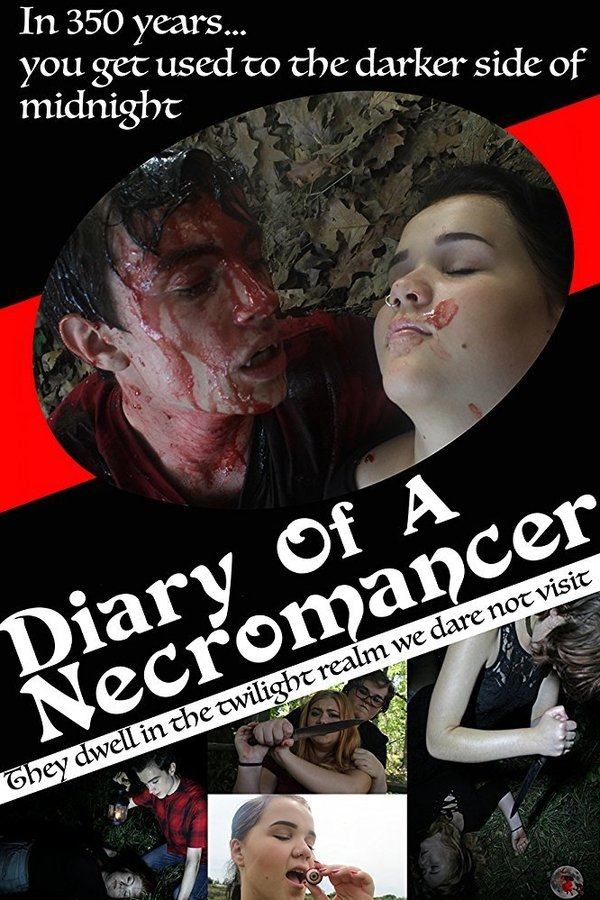 Diary Of A Necromancer