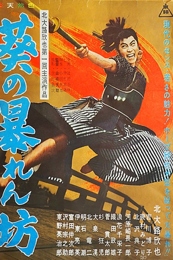 葵の暴れん坊