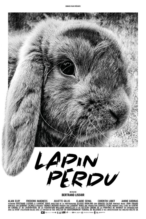 Lapin Perdu
