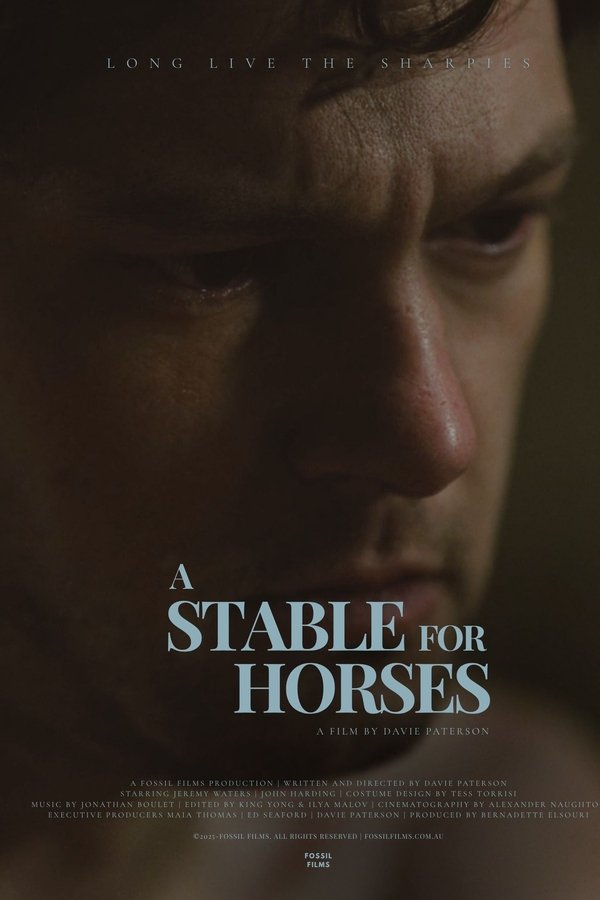 A Stable For Horses