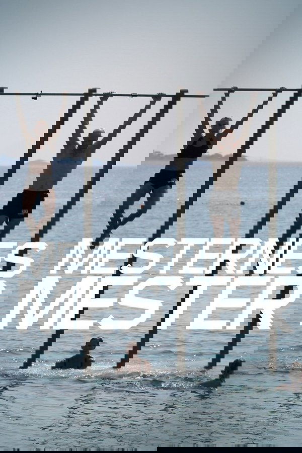 Mesternes mester