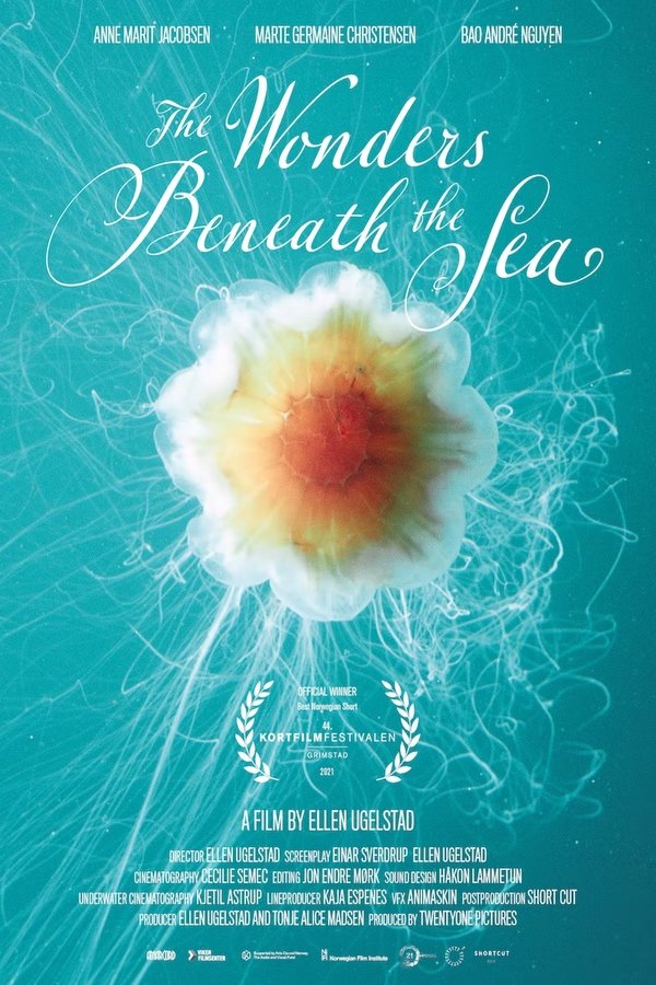 The Wonders Beneath The Sea