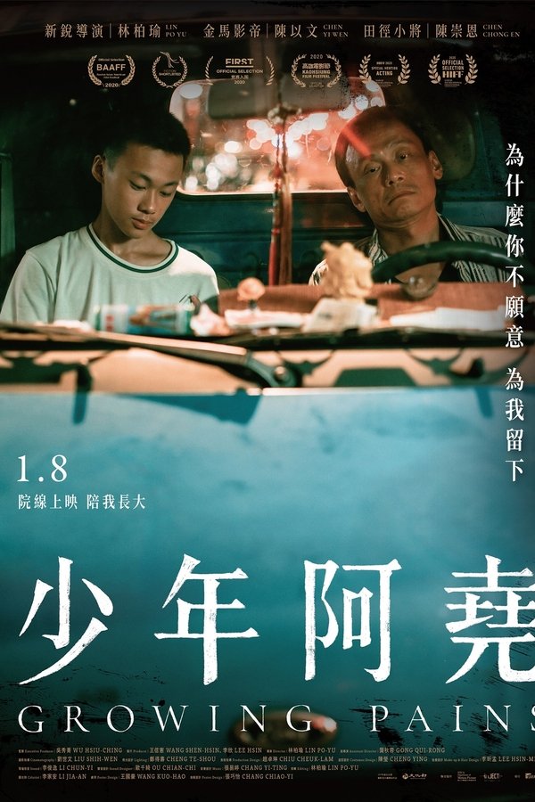 少年阿堯