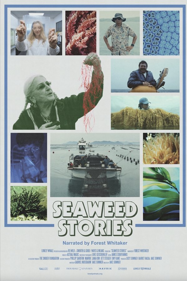 Seaweed Stories