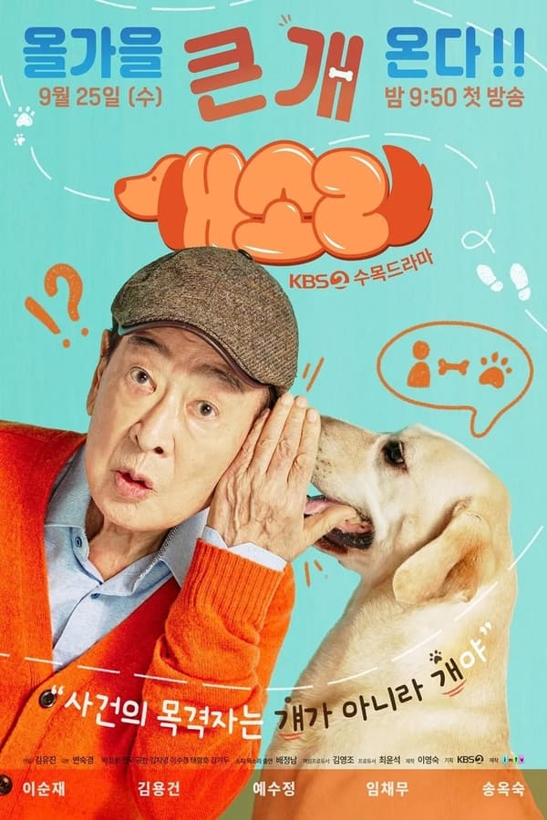 Dog-knows-everything