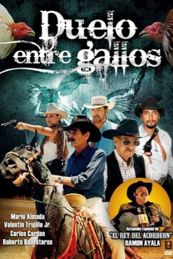 Duelo Entre Gallos