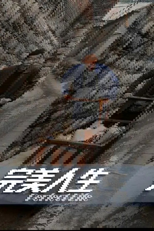完美人生