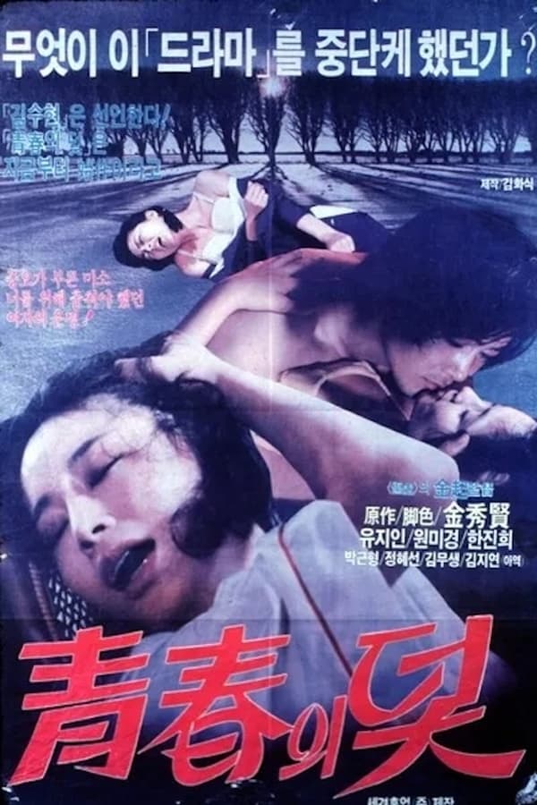 청춘의 덫