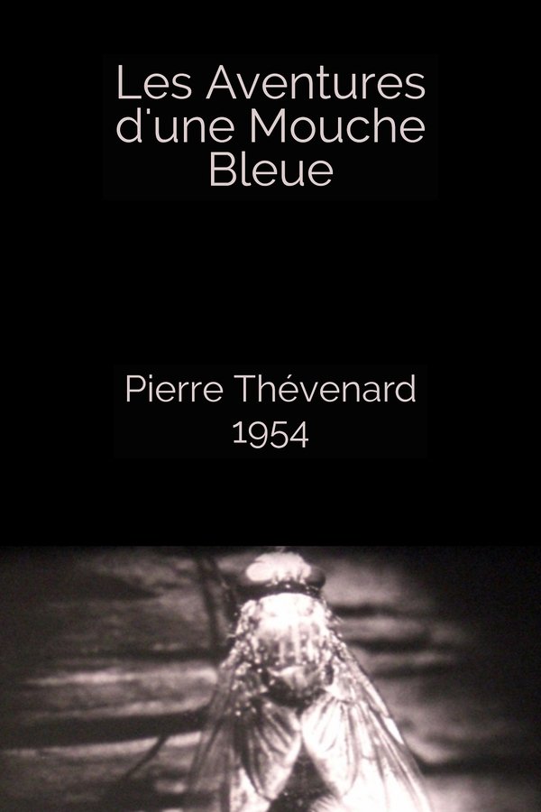 Les Aventures D'une Mouche Bleue