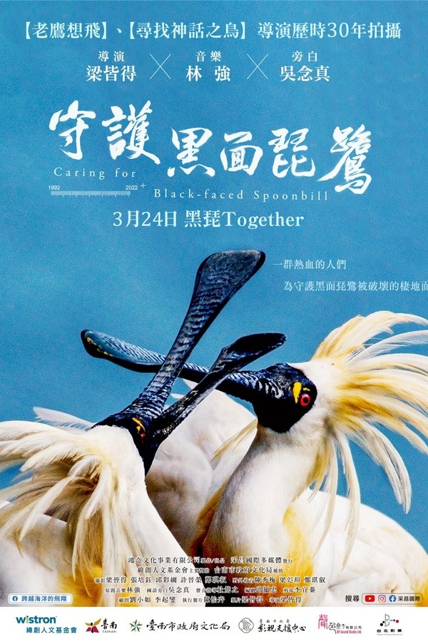 守護黑面琵鷺