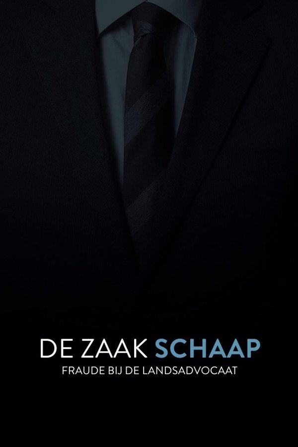 De Zaak Schaap: Fraude Bij De Landsadvocaat
