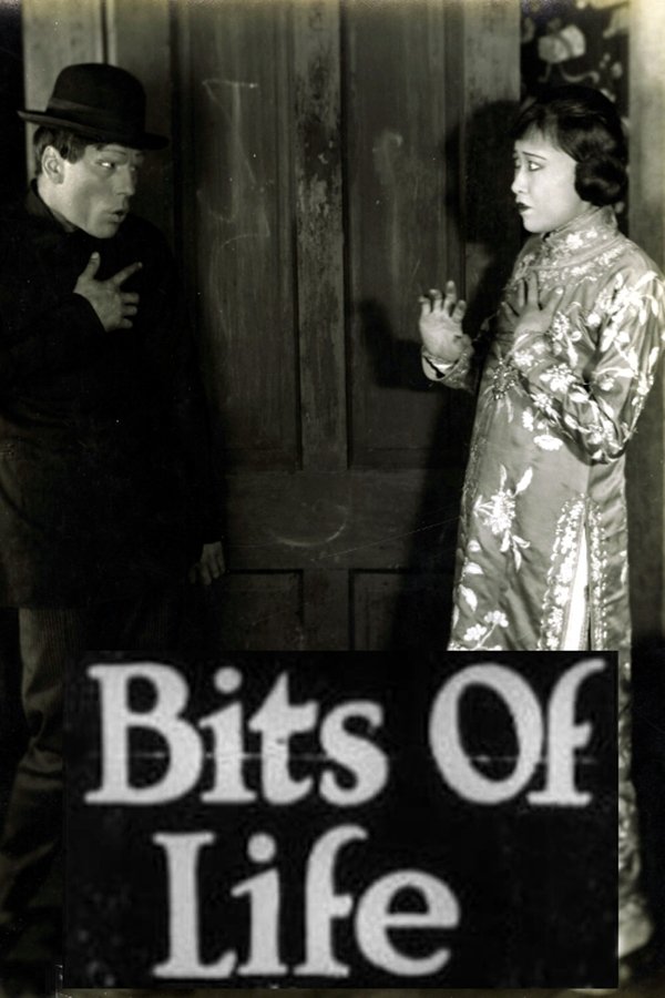 Bits Of Life