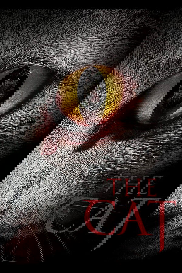 The Cat