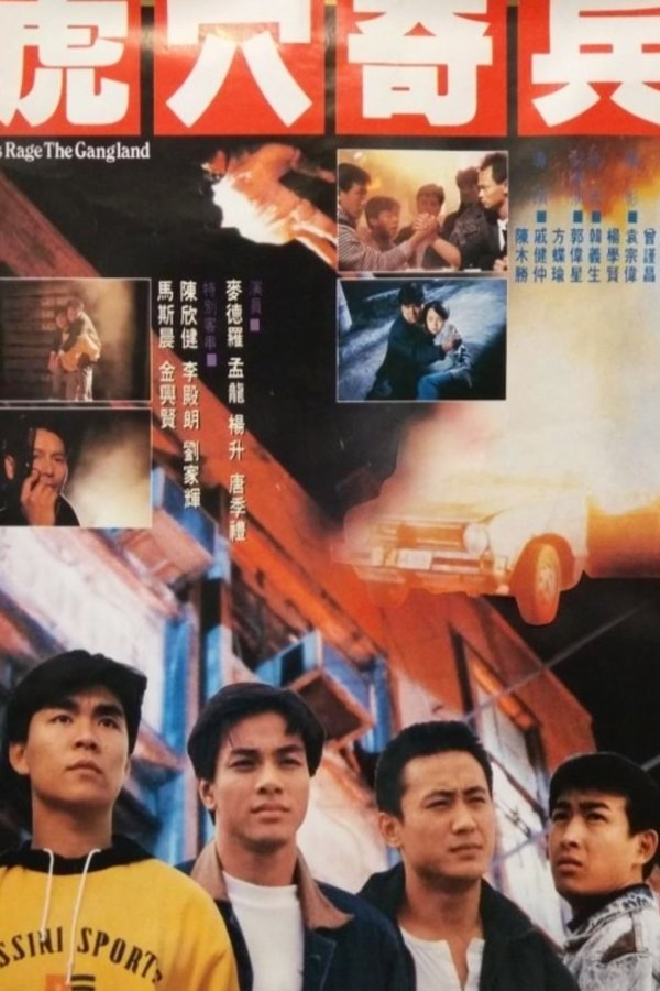 虎穴奇兵