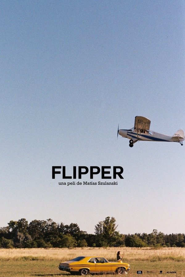 Flipper