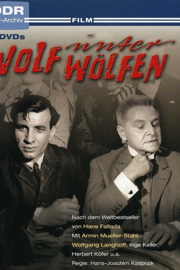 Wolf Unter Wölfen