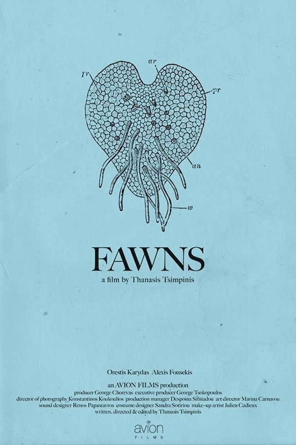 Fawns