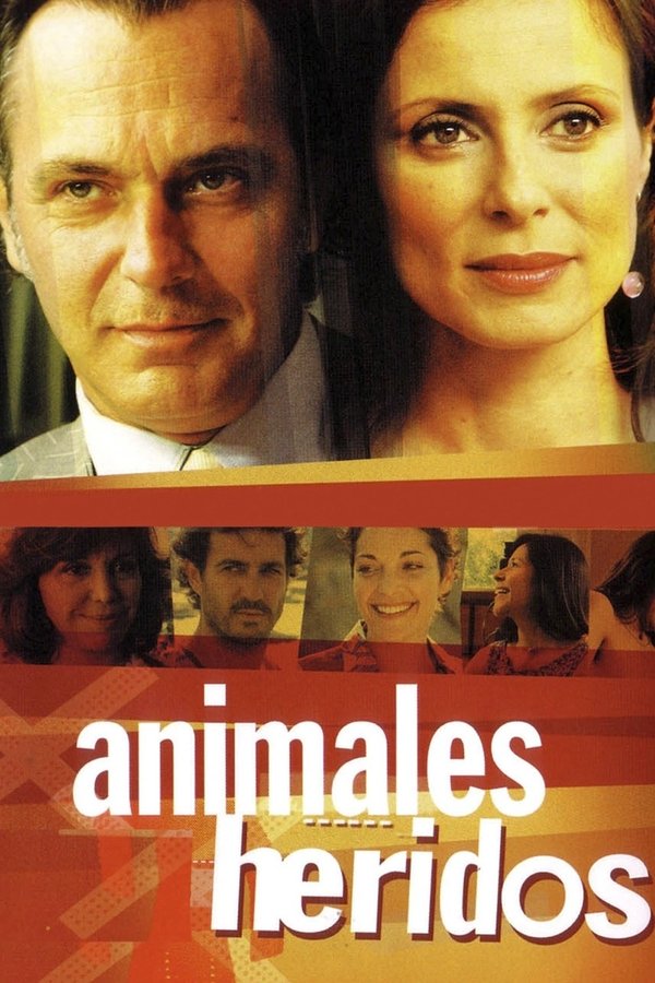 Animals Ferits