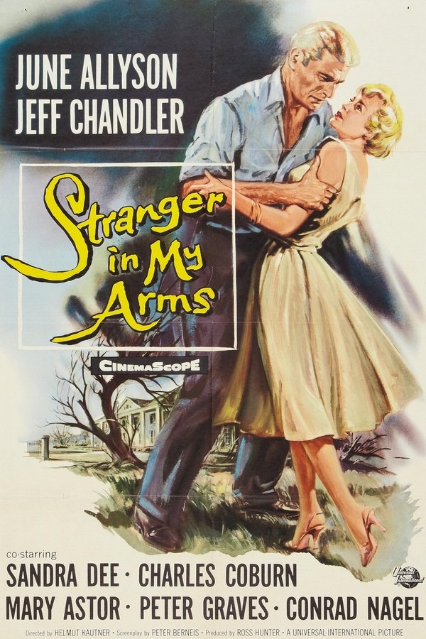 A Stranger In My Arms