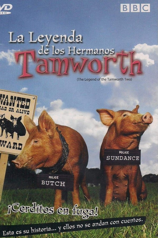 The Legend Of The Tamworth Two