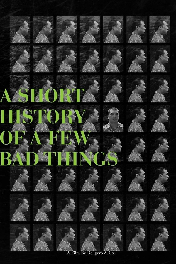 A Short History Of A Few Bad Things