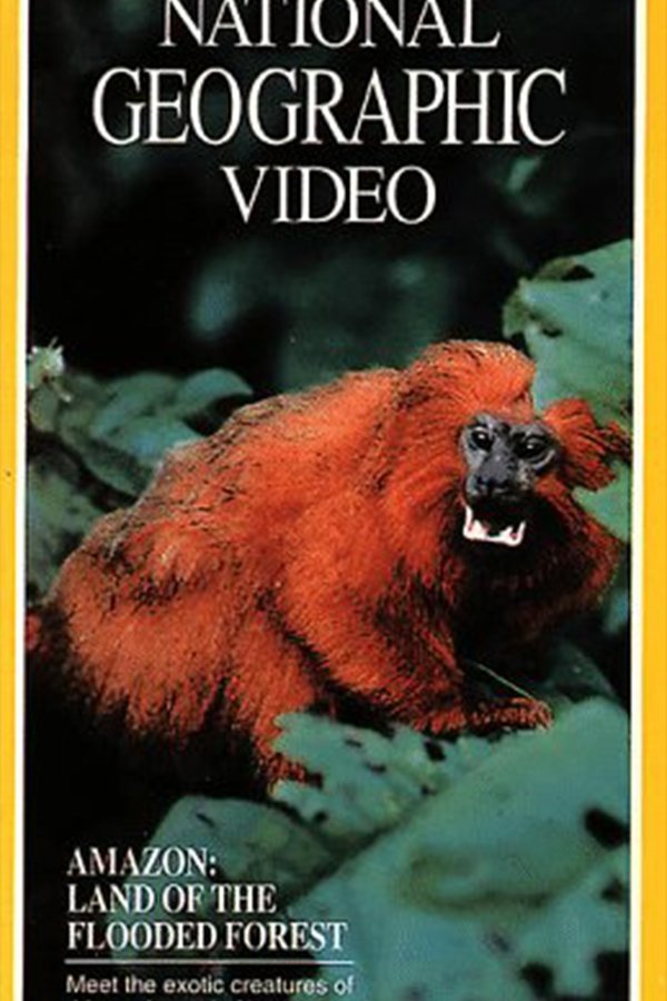 Amazon: Land Of The Flooded Forest
