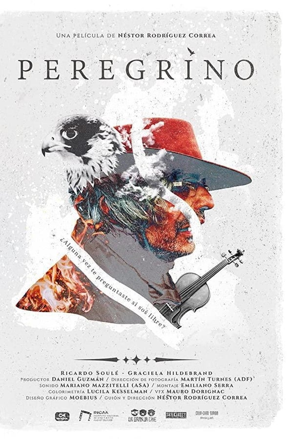 Peregrino