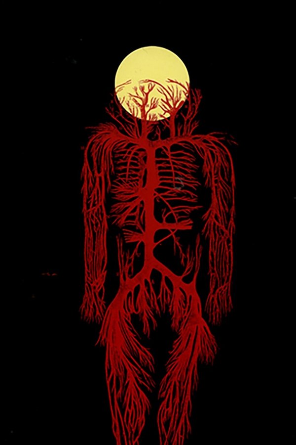 Viaje A La Luna