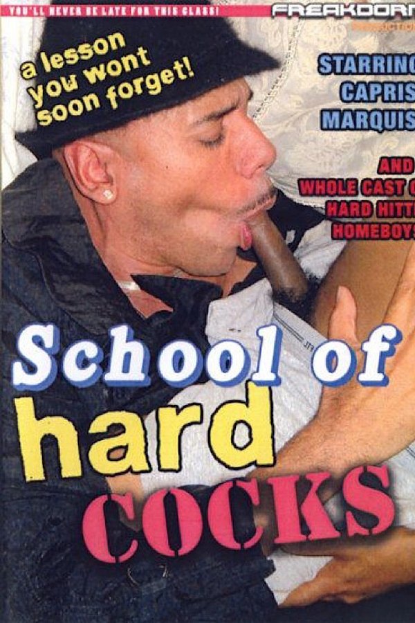 School Of Hard Cocks