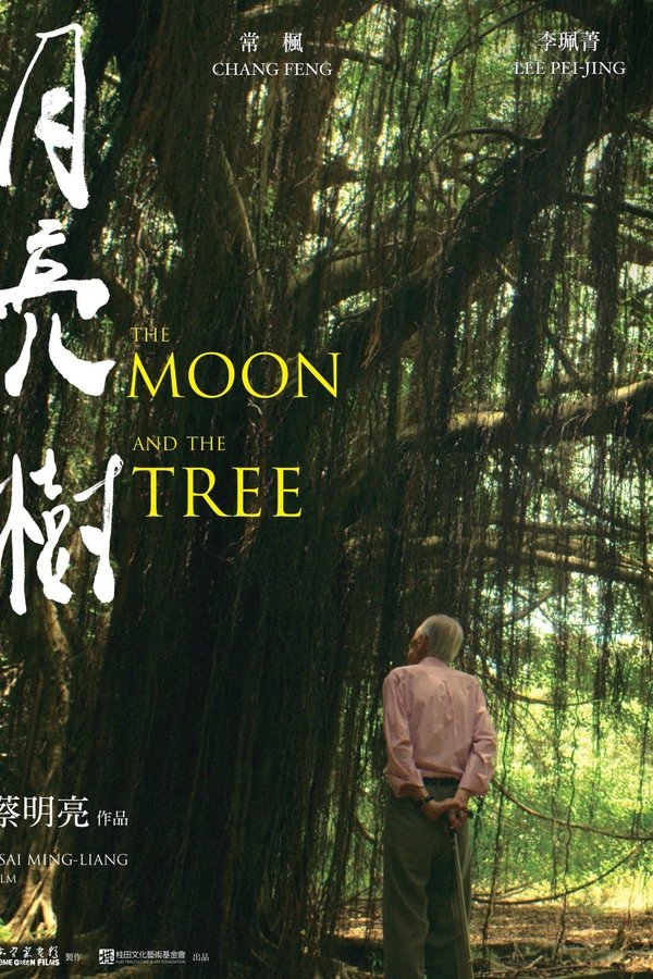 月亮 樹