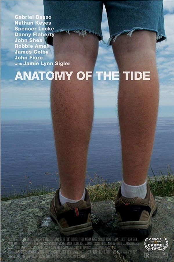 Anatomy Of The Tide