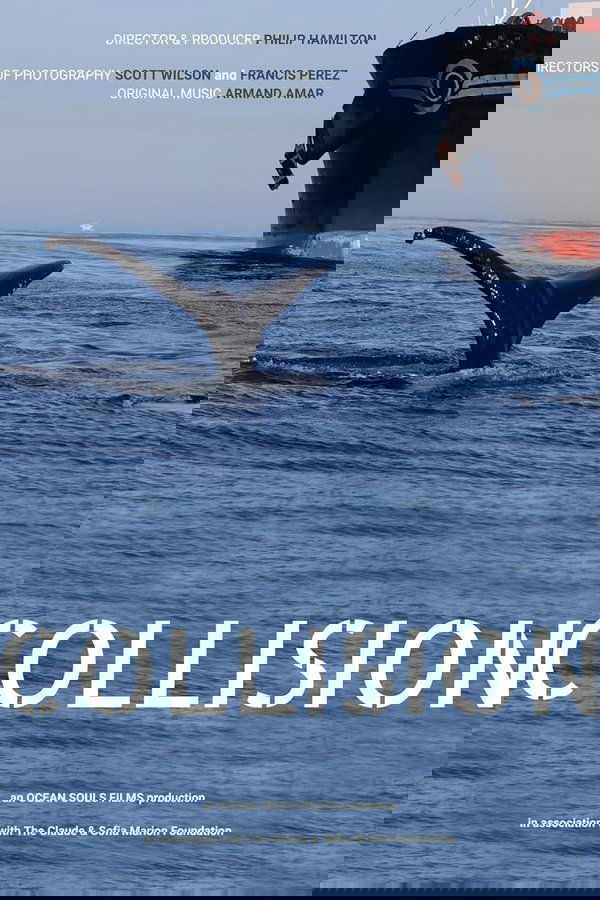 Collision