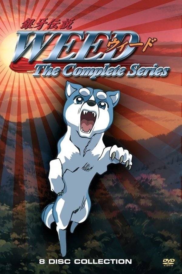 Silver Fang Legend Weed