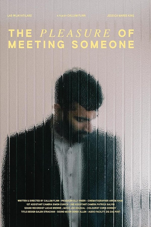 The Pleasure Of Meeting Someone