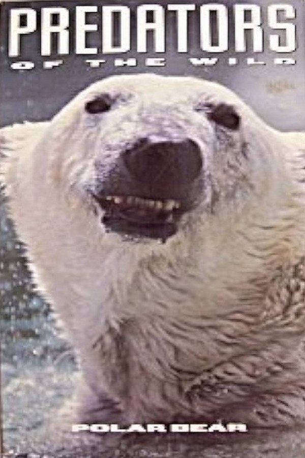 Predators Of The Wild: Polar Bear