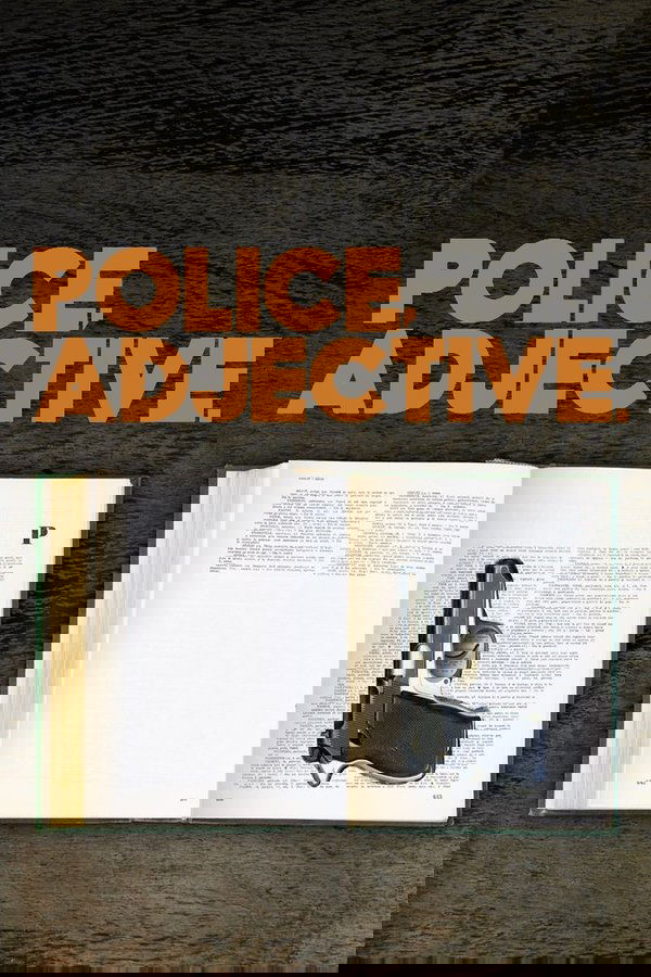 Police, Adjective