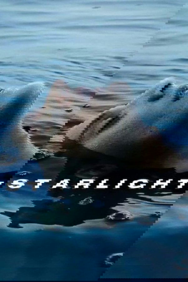 Edis Starlight