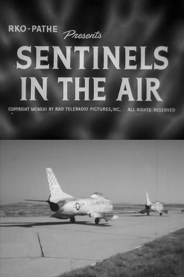 Sentinels In The Air