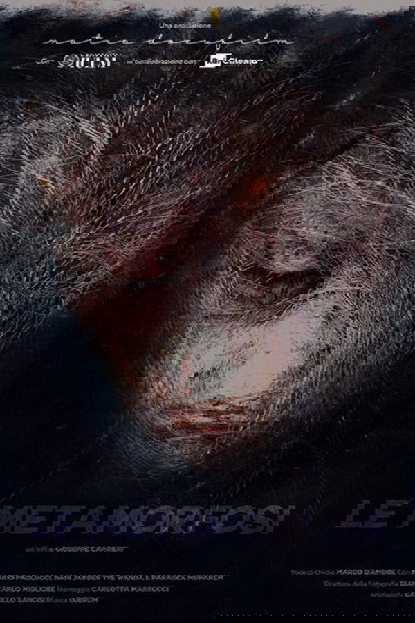 Le Metamorfosi