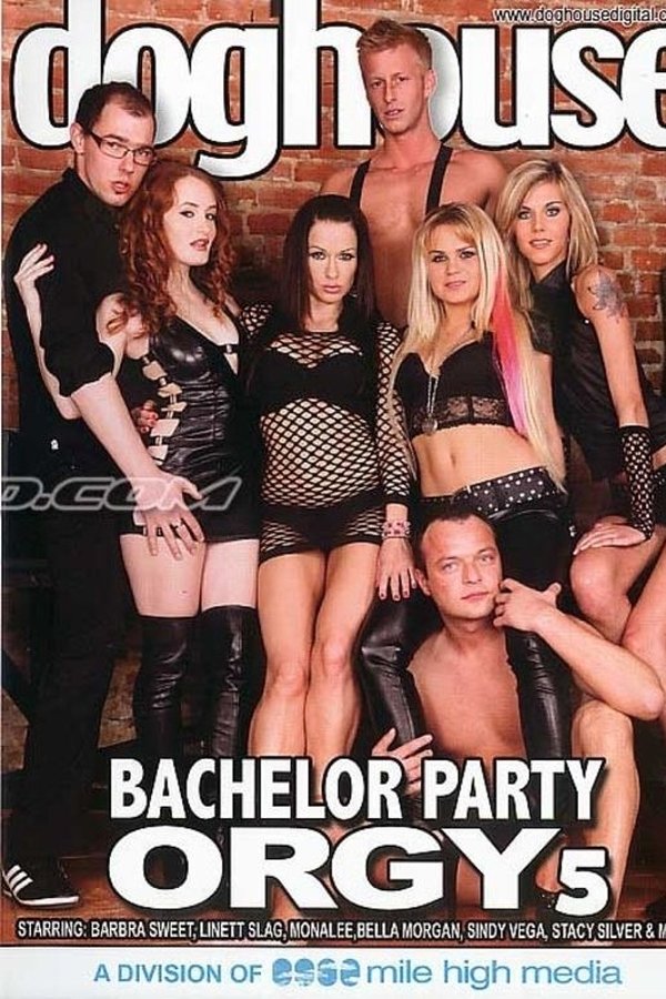 Bachelor Party Orgy 5