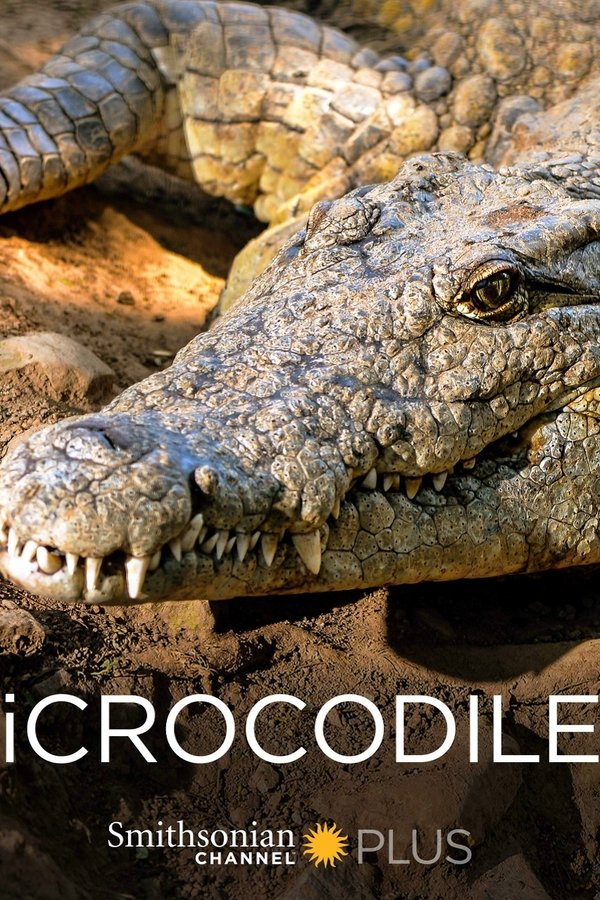 ICrocodile