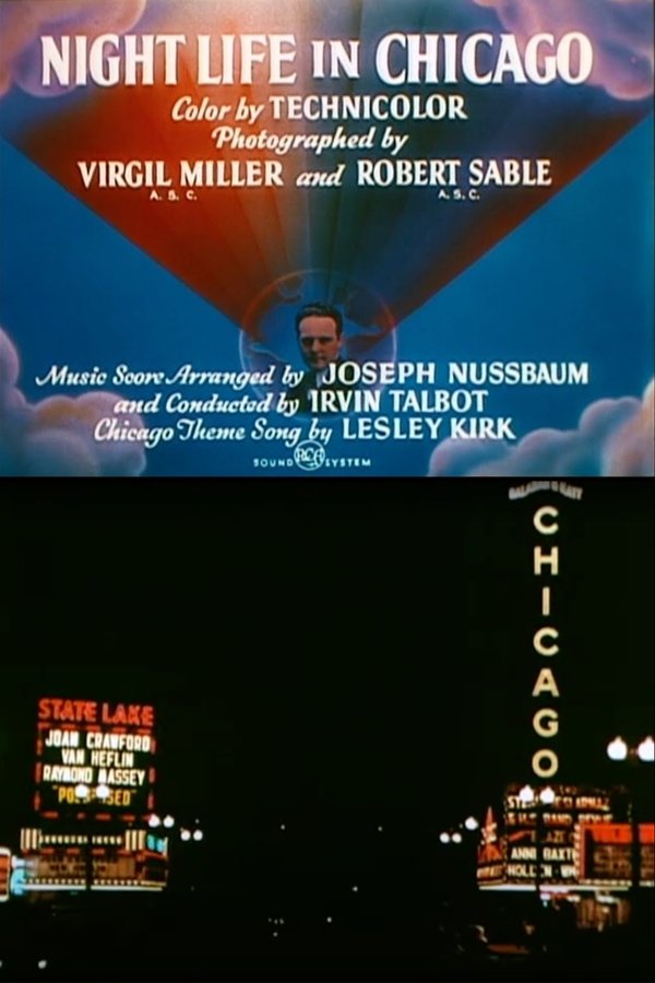 Night Life In Chicago